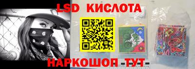 крисы Кинель