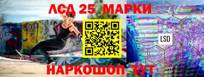 крисы Кинель