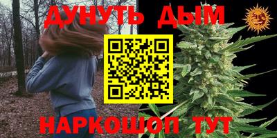 крисы Кинель